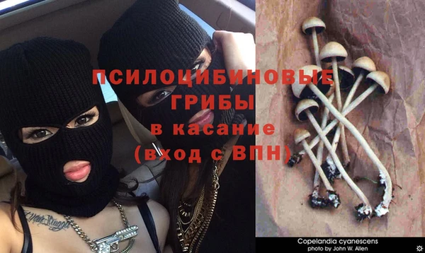 мяу мяу кристалл Балабаново