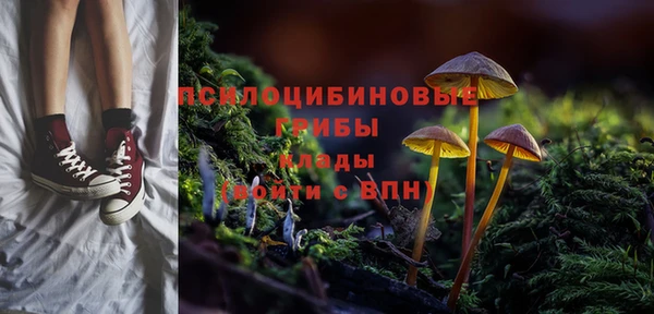 первитин Богородск